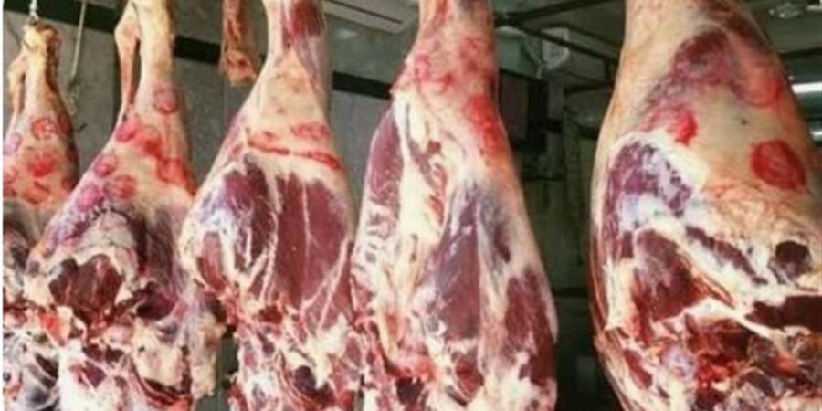 أسعار اللحوم بأسواق الوادي الجديد اليوم الثلاثاء 26 مايو 2026