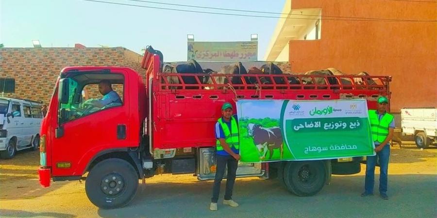 نحر 2000 عجل بلدي وتوزيع لحوم على الأسر الأولى بالرعاية بعيد الأضحى