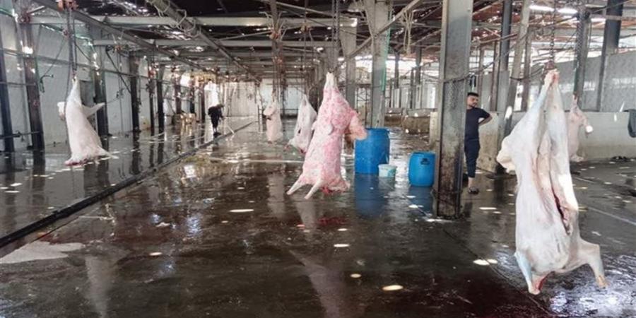خريطة المجازر الحكومية المطورة بالمحافظات.. شروط وأماكن ذبح الأضاحي مجاناً في العيد