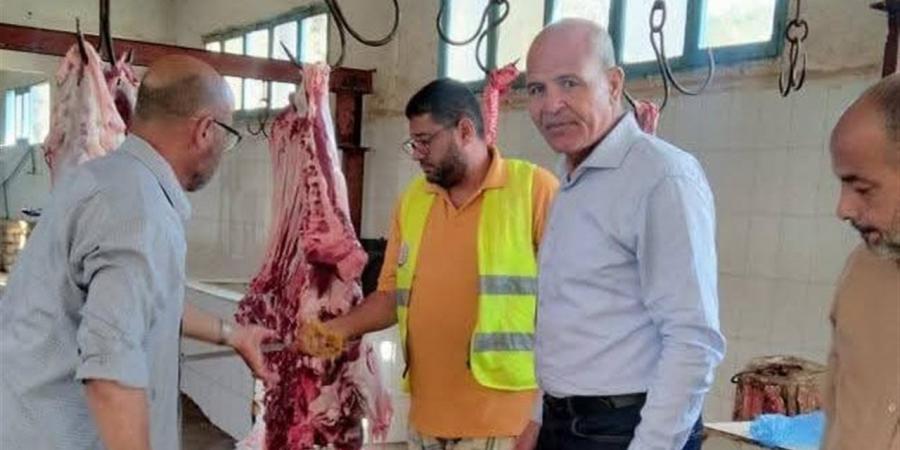 "تضامن مطروح": استلام 10 عجول من “الأورمان” لتوزيعها على الأسر المحتاجة