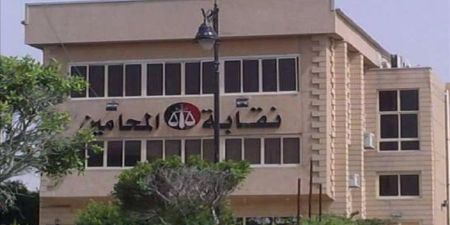 "المحامين" تكشف تفاصيل مقتل محامية على يد طليقها بالإسكندرية