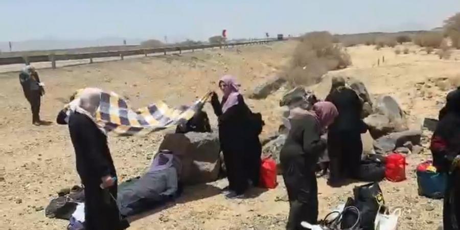 «العناية الإلهية تنقذهم».. إصابات طفيفة إثر حادث سير لحافلة حجاج فلسطينيين في السعودية|صور