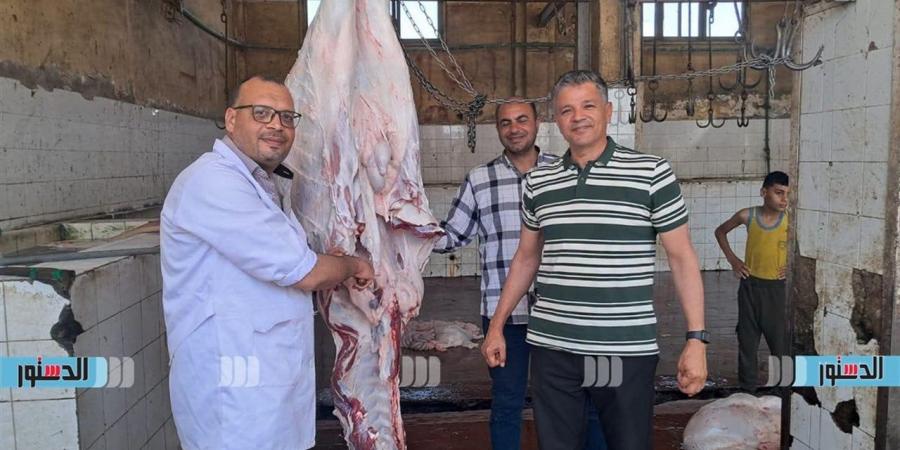 خلال عيد الأضحي.. ذبح 2342 أضحية بالمجان داخل مجازر كفر الشيخ