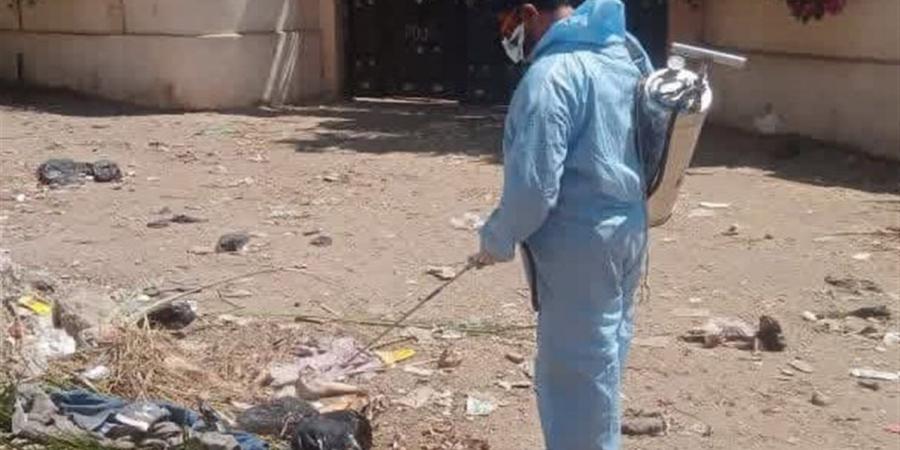 حملة مكبرة لمكافحة ناقلات الأمراض في عيد الاضحى بدمياط