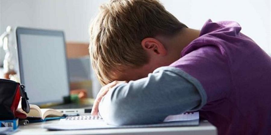 التنمر الإلكتروني.. عقوبات قانونية لملاحقة المتهمين