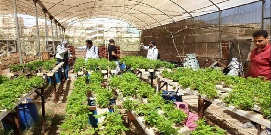 مركز معلومات المناخ الزراعي: تحذيرات وإرشادات مهمة للمزارعين مع ارتفاع الحرارة