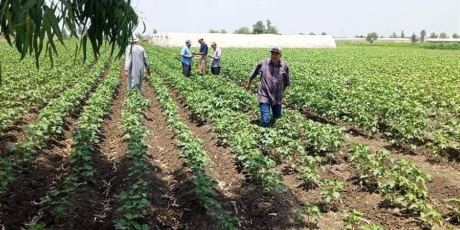 رئيس مركز البحوث الزراعية يتفقد معهدي "وقاية النباتات" و"الإنتاج الحيواني"