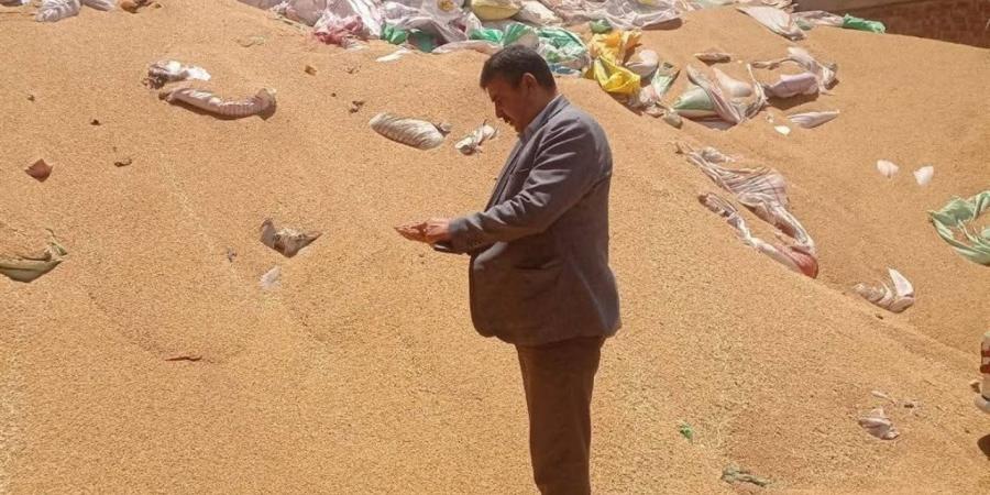 وكيل "تموين المنوفية" يتابع ميدانيًا مواقع استلام وتخزين الأقماح