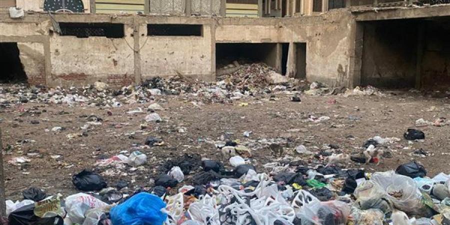 محافظ الدقهلية يكلف بإطلاق حملة نظافة بقرية منية سمنود