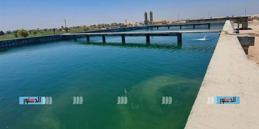 "مياه القناة" تدعم محطات مياه الشرب بـ35 جهاز قياس عكارة لتعزيز منظومة الجودة