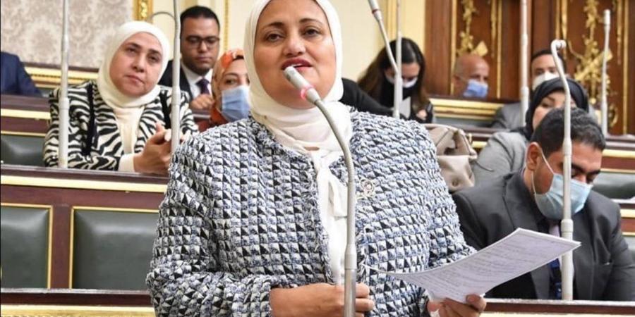 اقتراح برلماني لتسريع رصف طريق مجمع الرمان بالبداري وساحل سليم