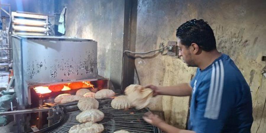 58 مخالفة خلال حملات رقابية مكثفة على المخابزبزفتى وقطور وطنطا والمحلة