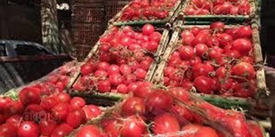 تراجع أسعار الطماطم والخضروات بالأسواق اليوم.. والبطاطس بين 15 و20 جنيهًا