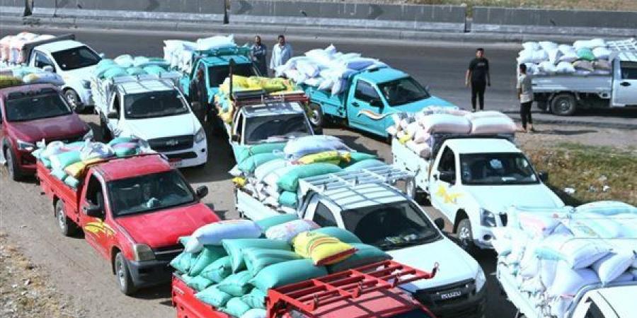 توريد 386 ألف طن قمح في شون وصوامع البحيرة