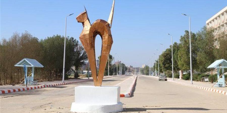 جامعة قنا: إنشاء مركز للإرشاد والدعم النفسي