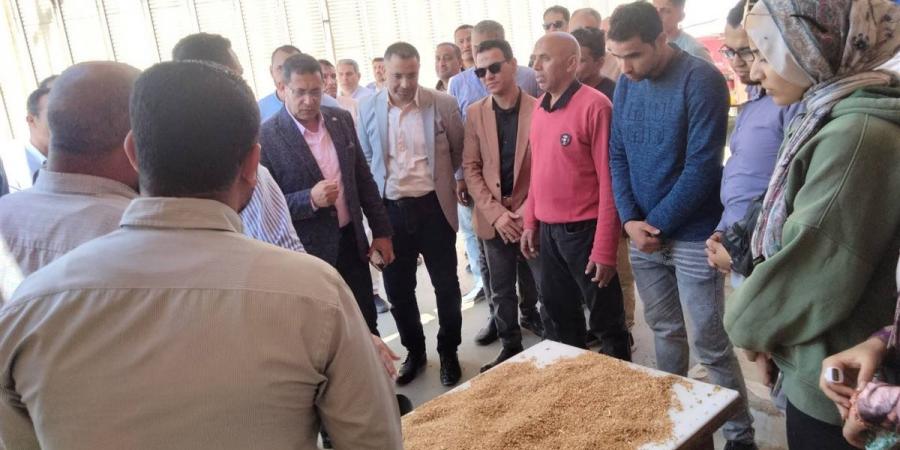 توريد 242 ألف طن من القمح بصوامع الفيوم