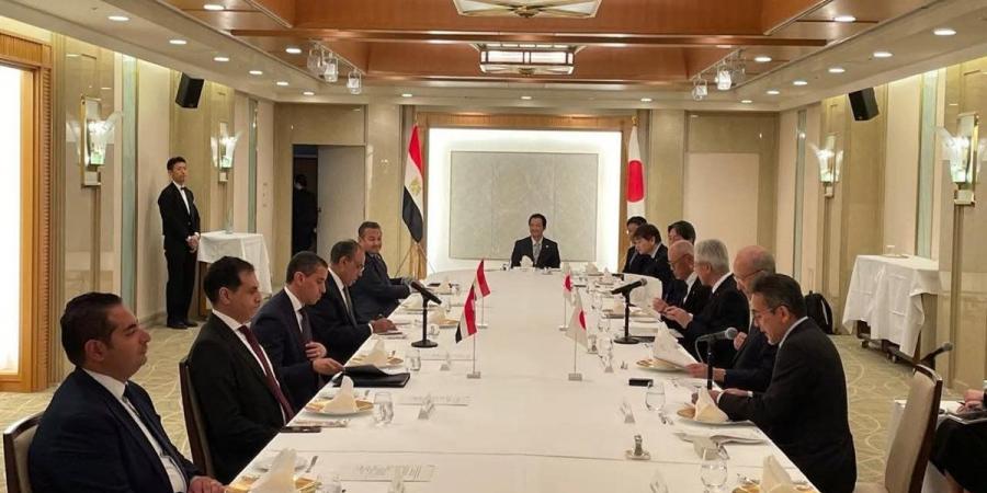 وزير الخارجية يلتقي مجلس الأعمال المصري–الياباني
