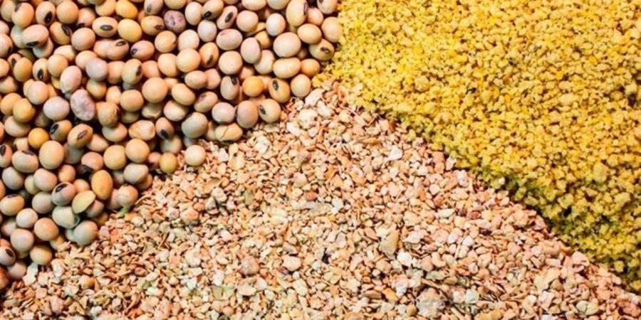 أسعار الأعلاف والحبوب في أسواق الغربية اليوم الخميس 4 يونيو 2026