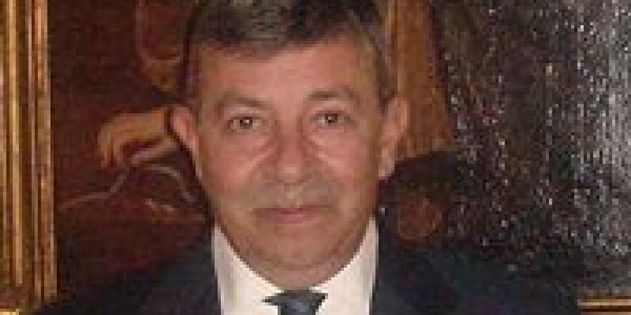 خسارة ألمانيا في مجلس الأمن: حدود النفوذ الألماني وتحولات النظام الدولي