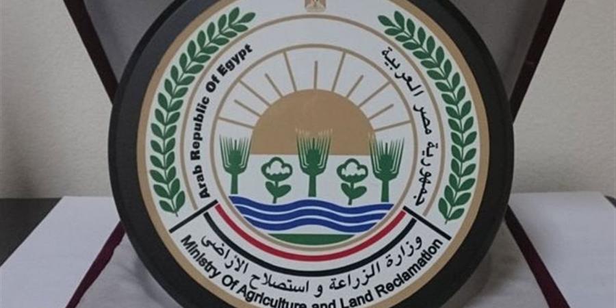 حصيلة "البحوث الزراعية" الأسبوعية.. فحص 8000 طن بطاطس وزراعة 10 أفدنة تقاوي