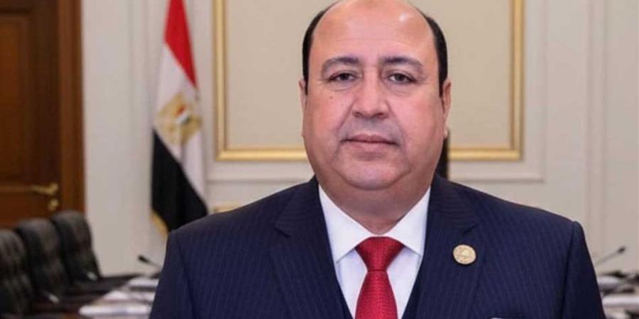 نائب: لابد من توحيد المواقف لمواجهة التحديات المتصاعدة في المنطقة