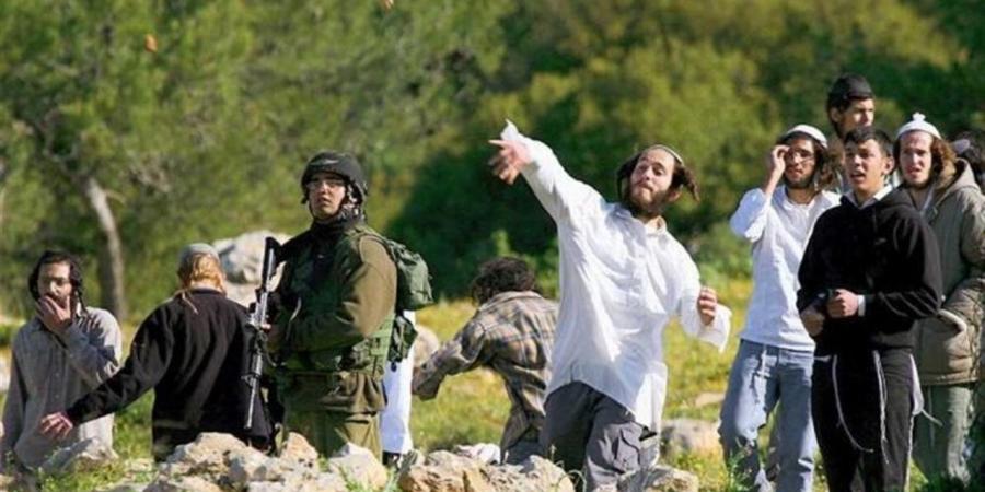 اعتداءات المستوطنين تحرم الفلسطينيين من مواسم الحصاد في الضفة الغربية