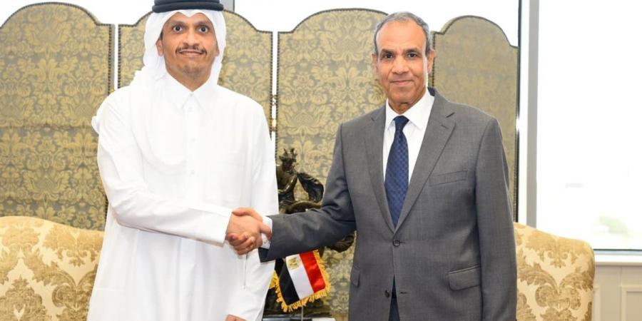 وزير الخارجية يستقبل نظيره القطري.. ويتبادلان الرؤى حول الأوضاع الإقليمية