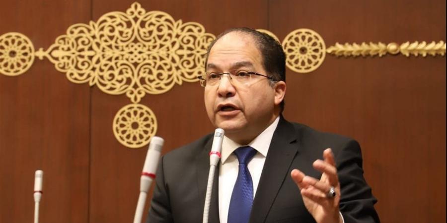 عادل اللمعي: تطوير المنظومة الجمركية ضرورة لتعزيز تنافسية الاقتصاد المصري