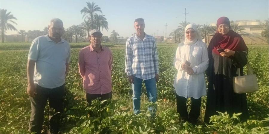 زراعة الفيوم تبدأ إطلاق طفيل التريكوجراما بسنورس لمكافحة الآفات الحيوية على 250 فدانًا