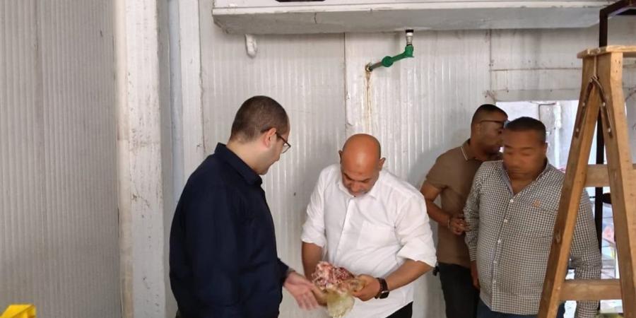 ضبط 5 أطنان دواجن ولحوم مفرومة فاسدة في حملة بمدينة العبور