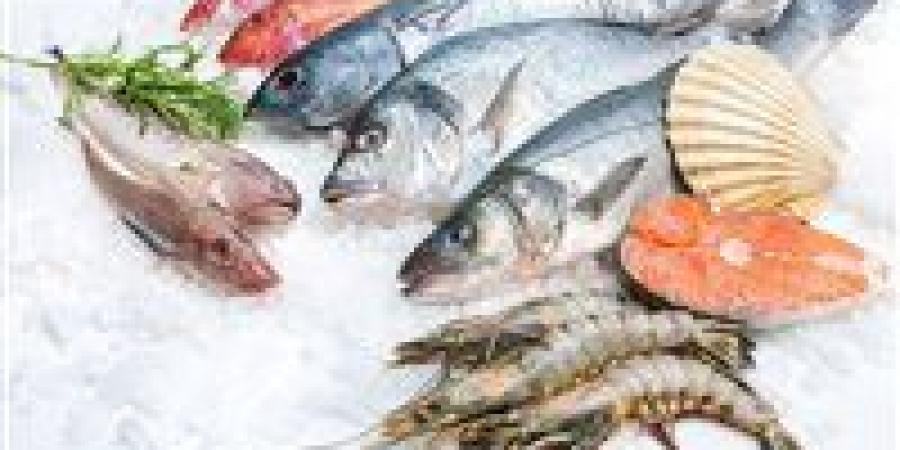 أسعار الأسماك اليوم.. البلطي والبوري في صدارة البحث