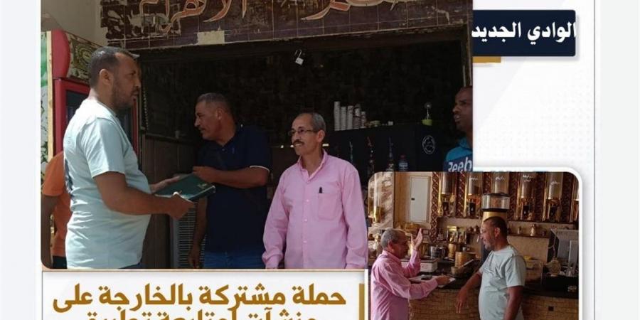 حملة تفتيشية مشتركة بالخارجة لمتابعة تطبيق الحد الأدنى للأجور