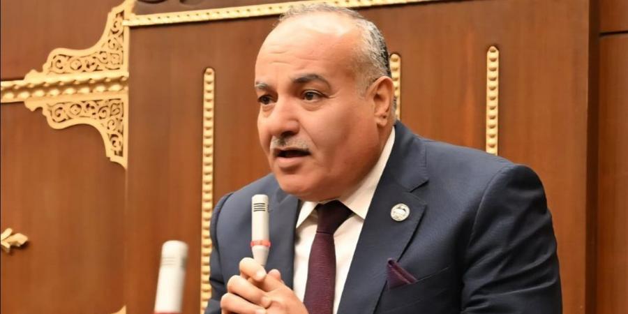 برلمانى يثمن جهود مصر والوسطاء مع الفصائل الفلسطينية لاستكمال تنفيذ اتفاق وقف إطلاق النار