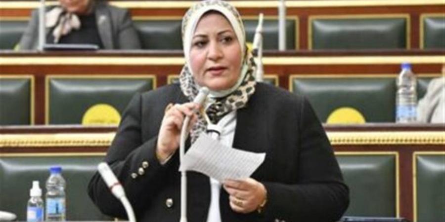 النائبة غادة الضبع: نجاح خطة التنمية مشروط بتذليل العقبات وتجهيز البنية التحتية للمستثمرين