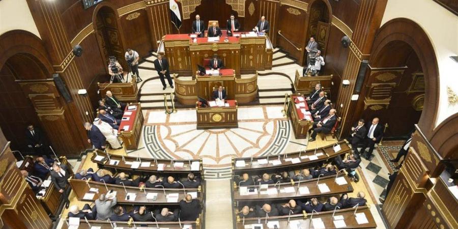 نواب "الشيوخ" يشيدون بخطة التنمية الاقتصادية والاجتماعية: "طموحة ومبنية على قراءة واقعية للمشهد"