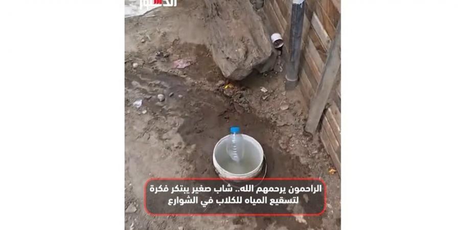 الراحمون يرحمهم الله.. شاب صغير يبتكر فكرة لتبريد المياه للكلاب في الشوارع(فيديو)