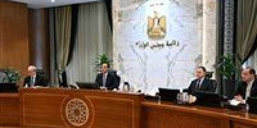 مدبولي: توريد 4.6 مليون طن قمح رقم تاريخي.. وسداد مستحقات شركاء البترول والغاز بالكامل لأول مرة منذ سنوات