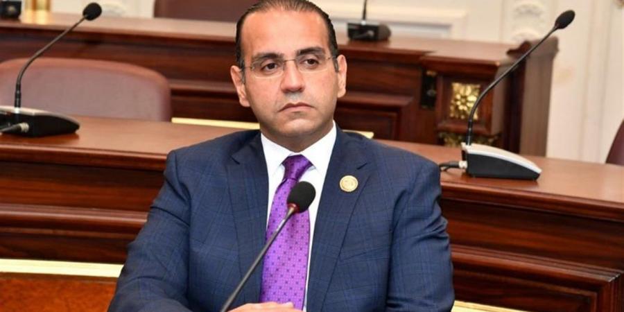 نائب: مصر تقود جهودًا متوازنة لترسيخ الاستقرار في المنطقة