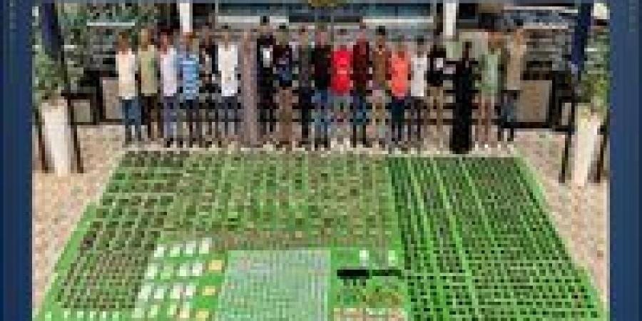 بـ119 مليون جنيه.. الداخلية: مصرع 4 عناصر شديدة الخطورة وضبط طن مخدرات و21 سلاحًا في حملة أمنية بالأقصر