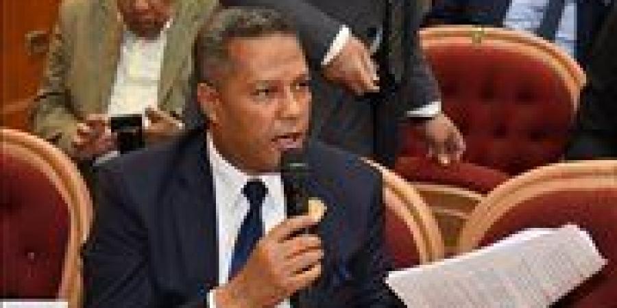 تشديد الرقابة على الميكروباصات.. في مجلس الشيوخ.. النائب محمد حمزة يطالب بحلول عاجلة لأزمة المواصلات بالإسكندرية