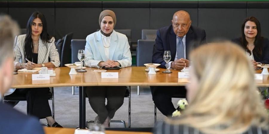 تفاصيل زيارة الوفد البرلماني برئاسة سامح شكري إلى ألمانيا