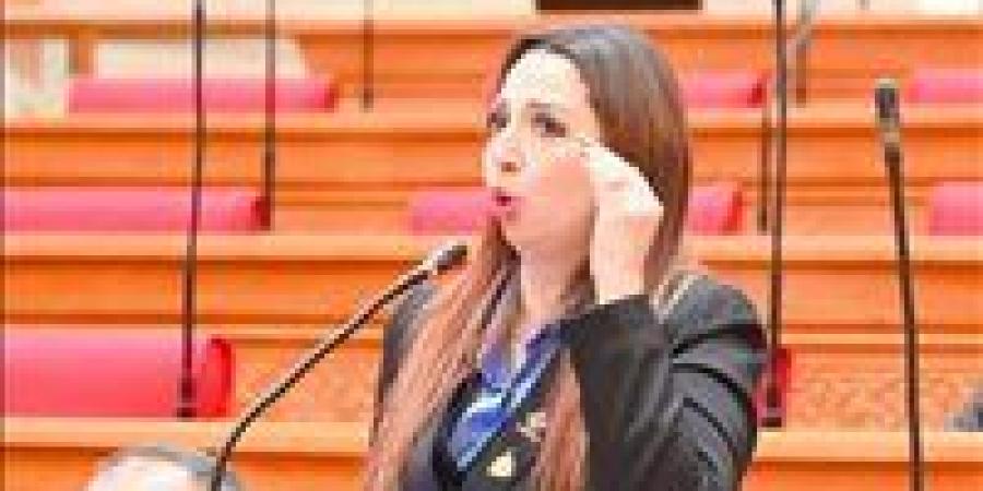 البرلمان يناقش شكاوى المواطنين من زيادة تكلفة الكهرباء للعدادات الكودية بعد طلب إحاطة نشوى الشريف