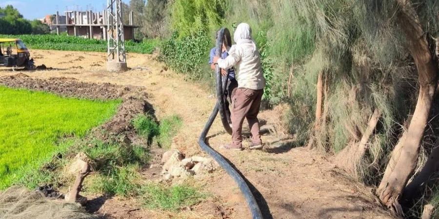 "كهرباء كوم حمادة": عطل مفاجئ يقطع التيار عن "كفر العيص".. والخدمة تعود خلال ساعة