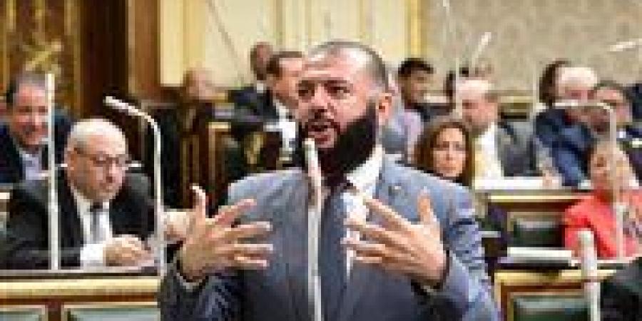 غدًا.. رياضة النواب تناقش طلب إحاطة للنائب أحمد خليل خيرالله بشأن انهيار سور مركز شباب العامرية