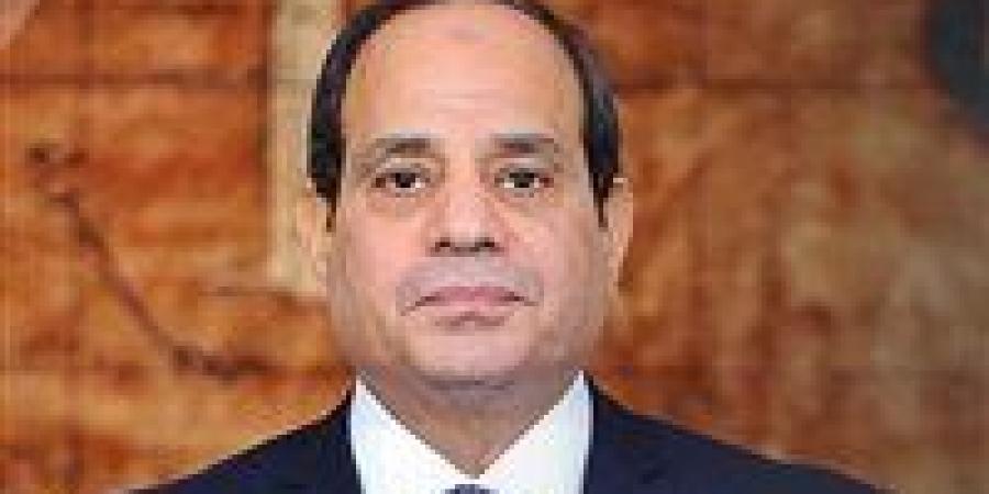 عاجل.. قرار جمهوري بتعيين سامح أبو كنة ومنال خيرى نائبين لرئيس المركزى للمحاسبات
