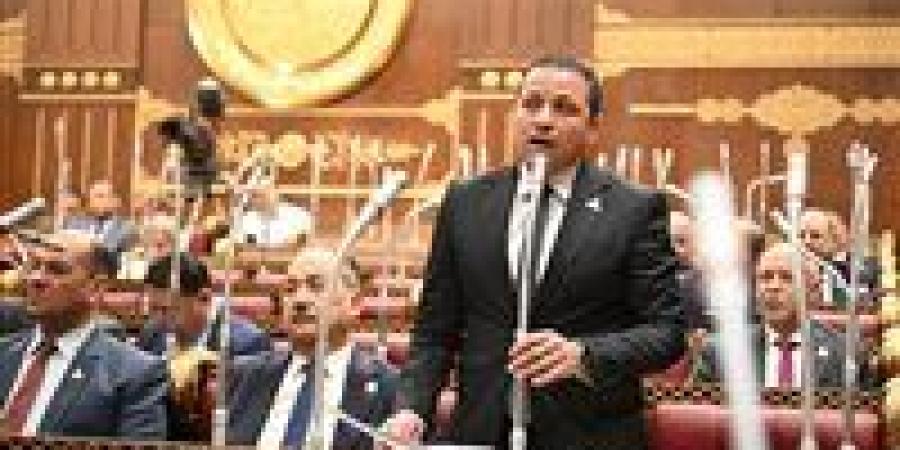 النائب عادل السكري : 30 يونيو ستبقى رمزًا للإرادة الشعبية الصلبة وتوحدهم خلف وطنهم