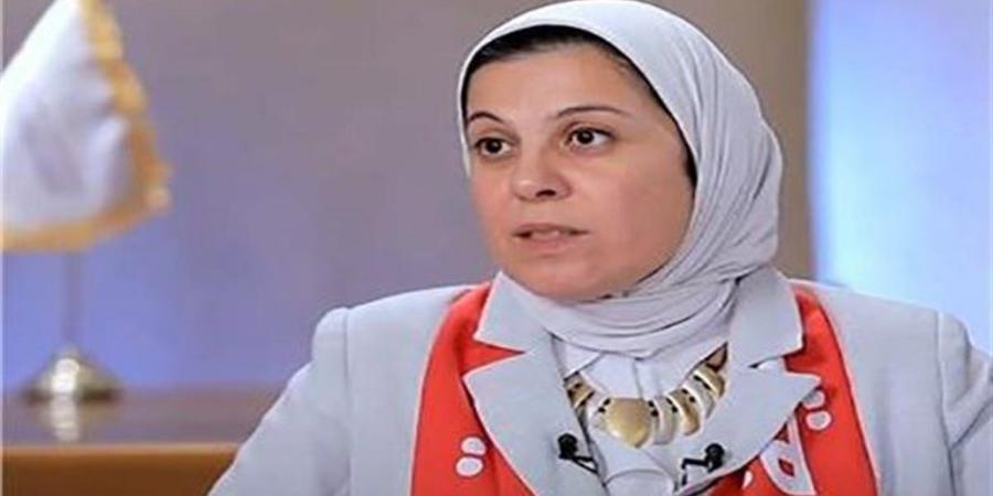 المدير التنفيذي للهلال الأحمر: أكثر من ألف متطوع شاركوا في تنظيم "فرحة مصر"