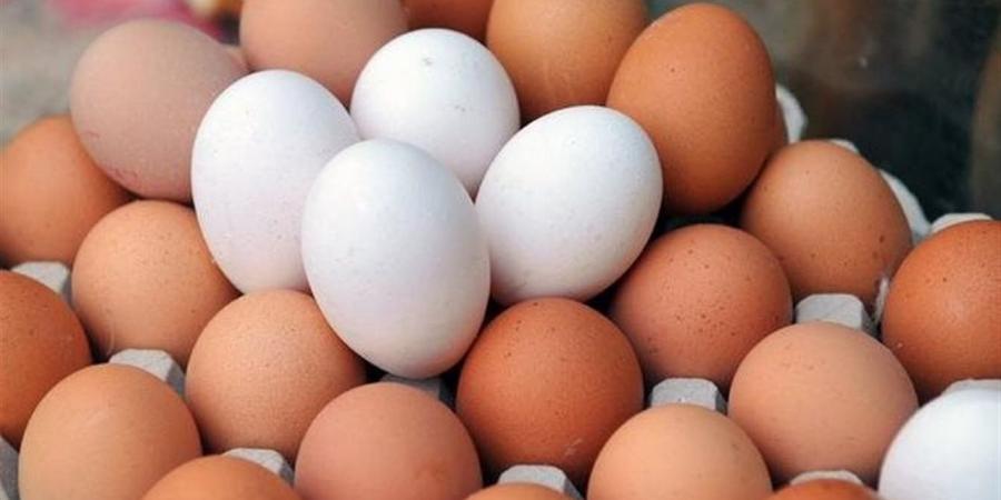 علماء روس ينجحون في إنتاج بيض خال من البروتين المسبب للحساسية