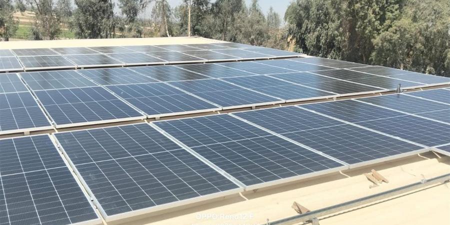"التنمية المحلية والبيئة" تدعم مبادرات تعزيز التحول نحو الاقتصاد الأخضر