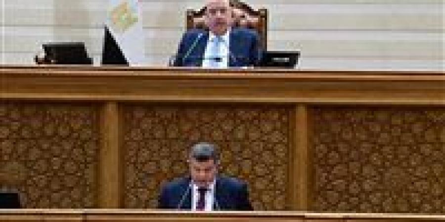 رئيس خطة النواب: الموازنة الجديدة تستهدف فائضًا أوليًا 5% وخفض العجز إلى 4.9% مع زيادة الإنفاق على الأجور والحماية الاجتماعية